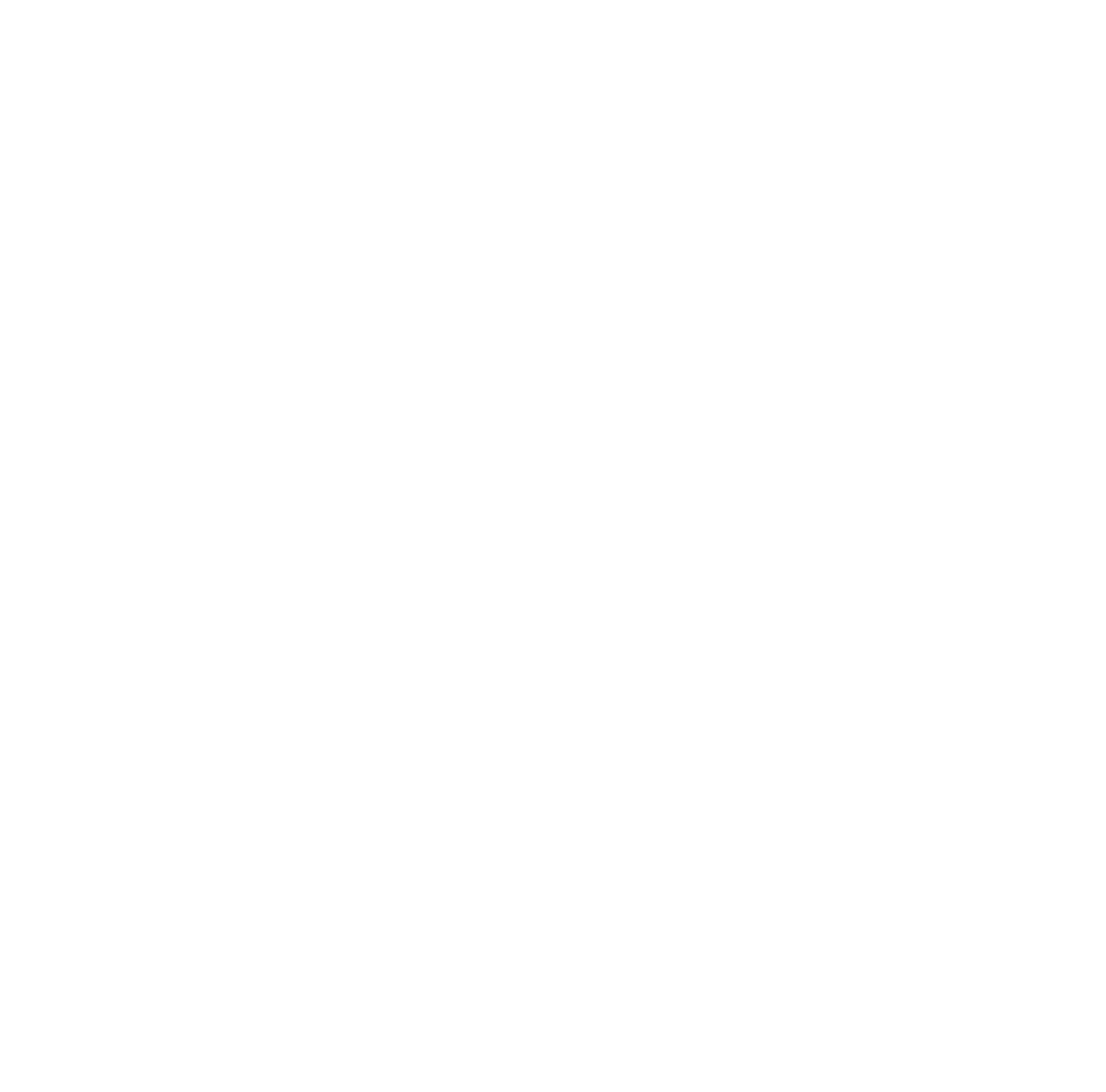SEO Google Ads Agency Digital Marketing NZ Divergent Digital